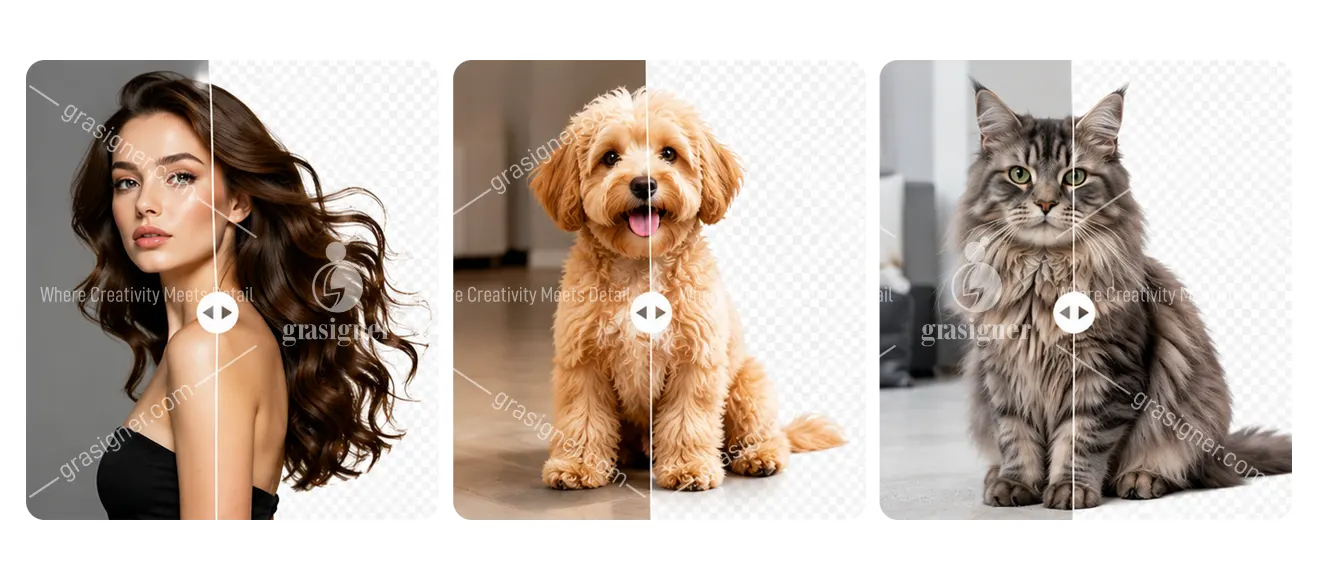 Photoshop Image Masking Service working sample at Grasigner 