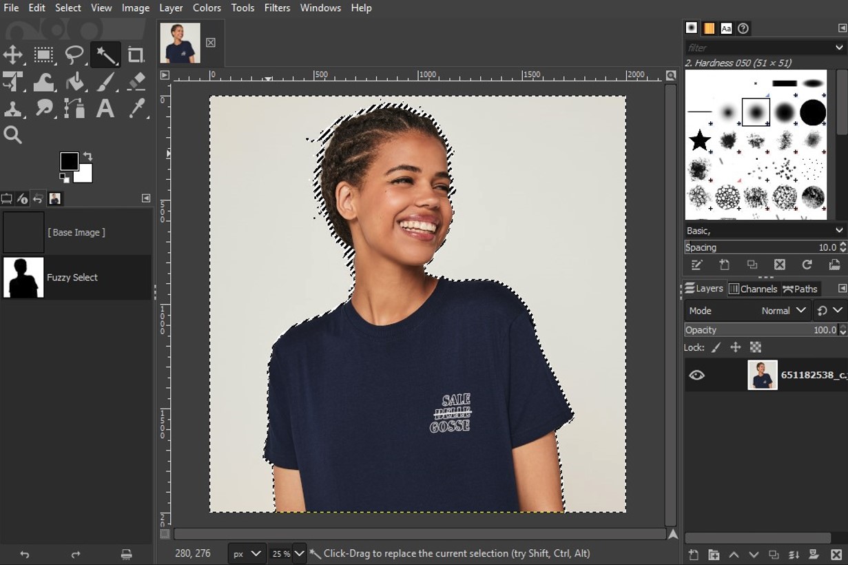 Select-the-Background-gimp-grasigner